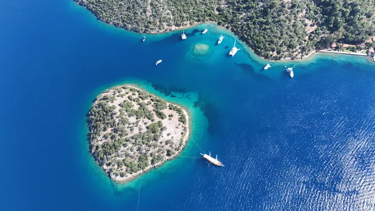 domuz island